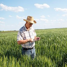 Farmer in field with iPad