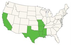 Image of the United States with the six rice states highlighted.